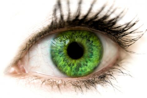 green_eyes-1584.jpg